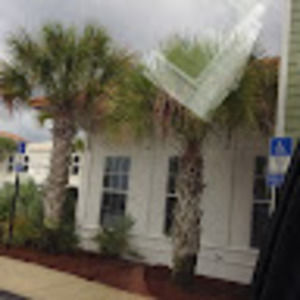 Meet your Posher, Dylan